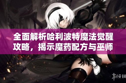 全面解析哈利波特魔法觉醒攻略，揭示魔药配方与巫师强力装备打造秘籍
