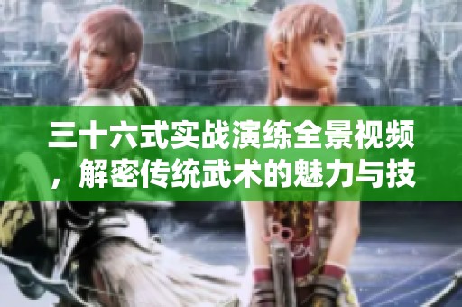 三十六式实战演练全景视频，解密传统武术的魅力与技巧