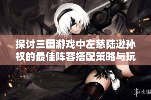 探讨三国游戏中左慈陆逊孙权的最佳阵容搭配策略与玩法分析