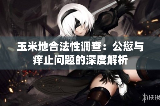玉米地合法性调查：公愆与痒止问题的深度解析