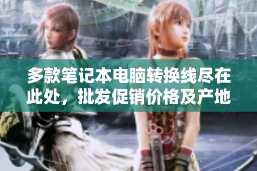 多款笔记本电脑转换线尽在此处，批发促销价格及产地信息一览无余