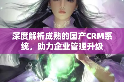 深度解析成熟的国产CRM系统，助力企业管理升级