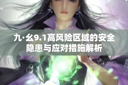 九·幺9.1高风险区域的安全隐患与应对措施解析