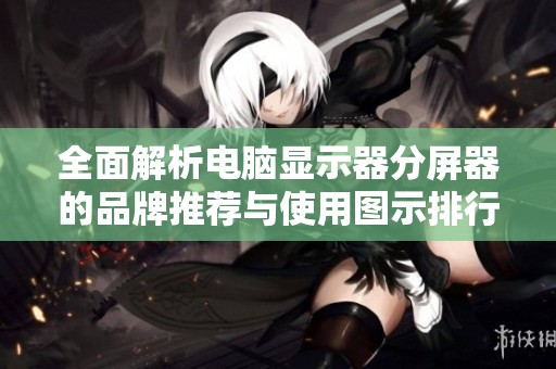 全面解析电脑显示器分屏器的品牌推荐与使用图示排行榜