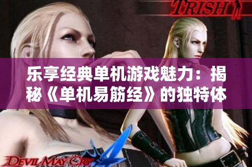 乐享经典单机游戏魅力：揭秘《单机易筋经》的独特体验与乐趣