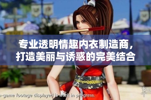 专业透明情趣内衣制造商，打造美丽与诱惑的完美结合