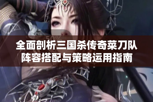 全面剖析三国杀传奇菜刀队阵容搭配与策略运用指南