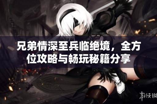 兄弟情深至兵临绝境，全方位攻略与畅玩秘籍分享