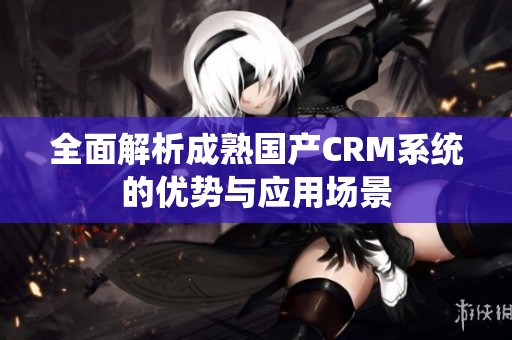 全面解析成熟国产CRM系统的优势与应用场景