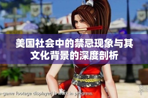 美国社会中的禁忌现象与其文化背景的深度剖析