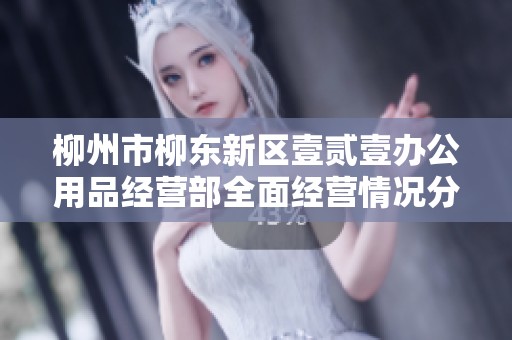 柳州市柳东新区壹贰壹办公用品经营部全面经营情况分析与展望