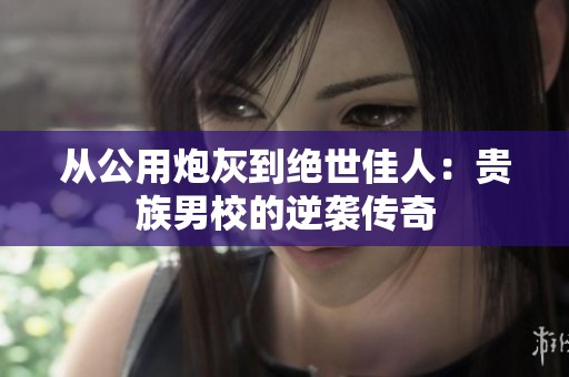 从公用炮灰到绝世佳人：贵族男校的逆袭传奇
