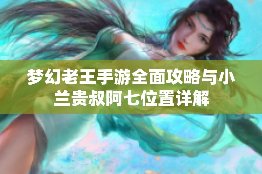 梦幻老王手游全面攻略与小兰贵叔阿七位置详解