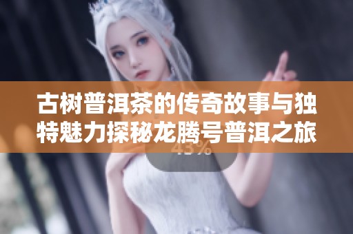 古树普洱茶的传奇故事与独特魅力探秘龙腾号普洱之旅