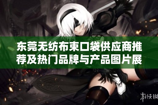 东莞无纺布束口袋供应商推荐及热门品牌与产品图片展示
