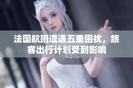 法国航班遭遇五重困扰，旅客出行计划受到影响