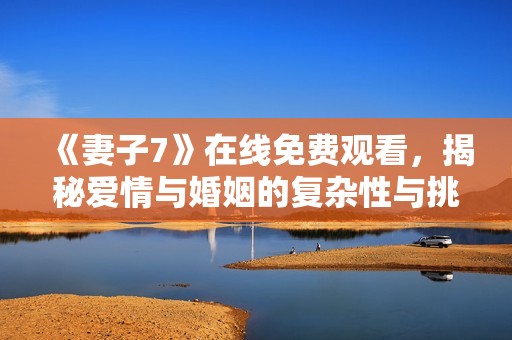 《妻子7》在线免费观看，揭秘爱情与婚姻的复杂性与挑战
