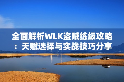 全面解析WLK盗贼练级攻略：天赋选择与实战技巧分享