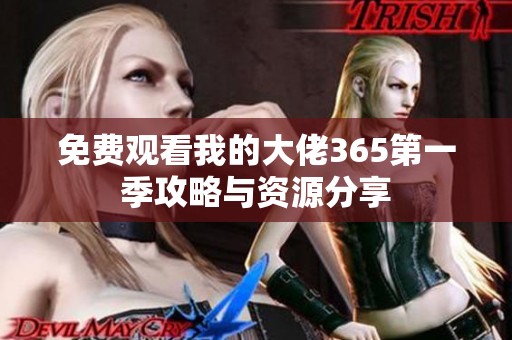 免费观看我的大佬365第一季攻略与资源分享
