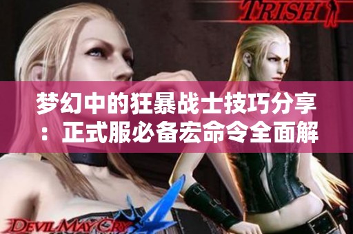 梦幻中的狂暴战士技巧分享：正式服必备宏命令全面解析