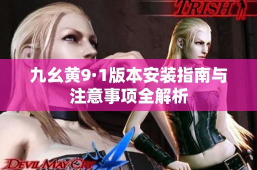 九幺黄9·1版本安装指南与注意事项全解析