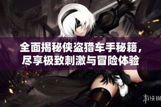 全面揭秘侠盗猎车手秘籍，尽享极致刺激与冒险体验