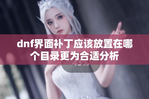 dnf界面补丁应该放置在哪个目录更为合适分析