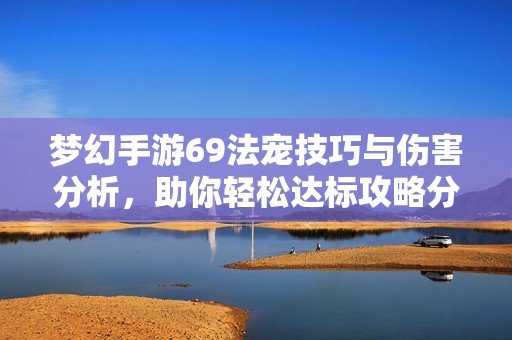 梦幻手游69法宠技巧与伤害分析，助你轻松达标攻略分享