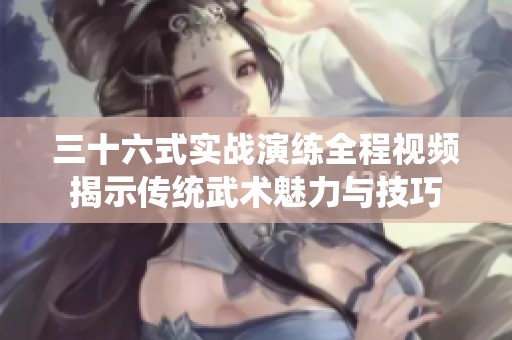 三十六式实战演练全程视频揭示传统武术魅力与技巧