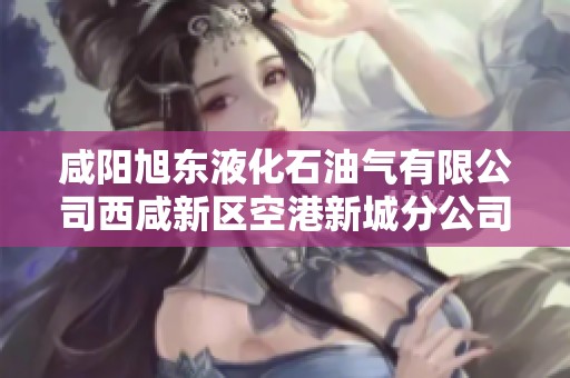 咸阳旭东液化石油气有限公司西咸新区空港新城分公司发展与前景分析