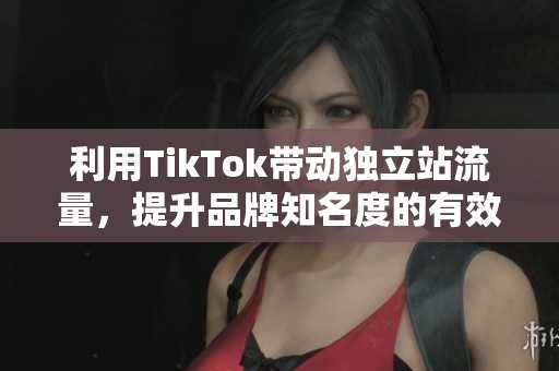 利用TikTok带动独立站流量，提升品牌知名度的有效策略