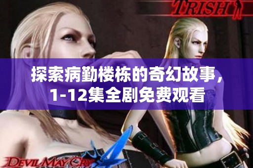 探索病勤楼栋的奇幻故事，1-12集全剧免费观看