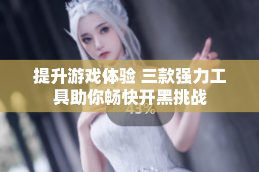提升游戏体验 三款强力工具助你畅快开黑挑战