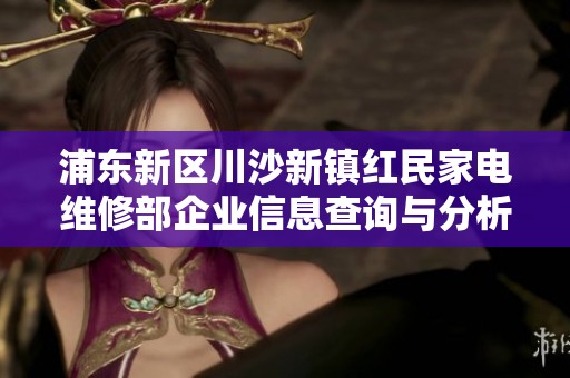 浦东新区川沙新镇红民家电维修部企业信息查询与分析