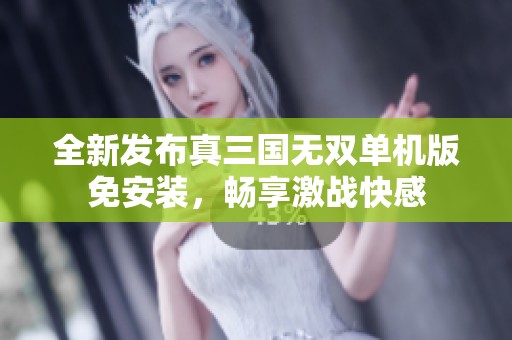 全新发布真三国无双单机版免安装，畅享激战快感