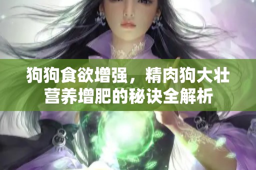 狗狗食欲增强，精肉狗大壮营养增肥的秘诀全解析