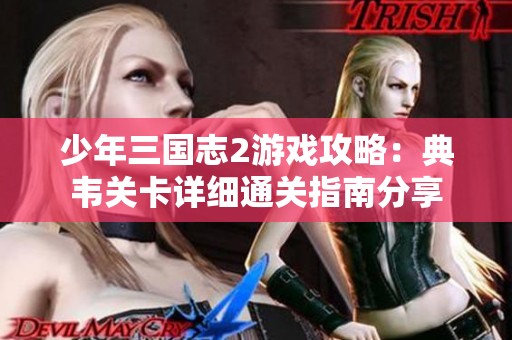 少年三国志2游戏攻略：典韦关卡详细通关指南分享