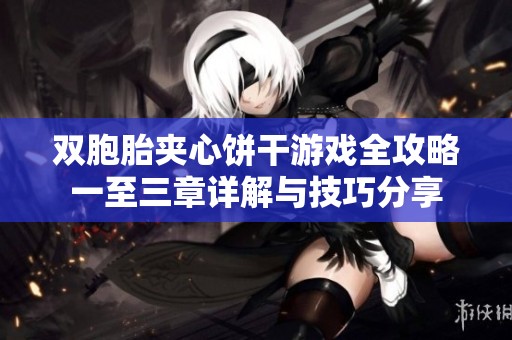 双胞胎夹心饼干游戏全攻略一至三章详解与技巧分享