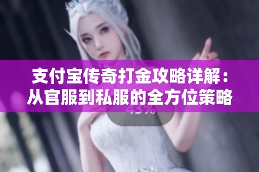 支付宝传奇打金攻略详解：从官服到私服的全方位策略分享
