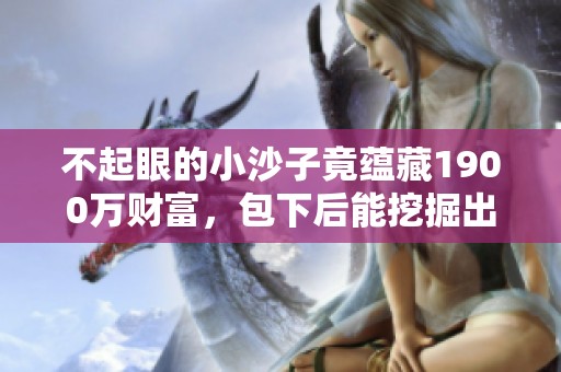 不起眼的小沙子竟蕴藏1900万财富，包下后能挖掘出宝石吗