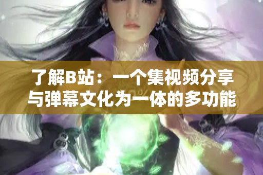 了解B站：一个集视频分享与弹幕文化为一体的多功能平台