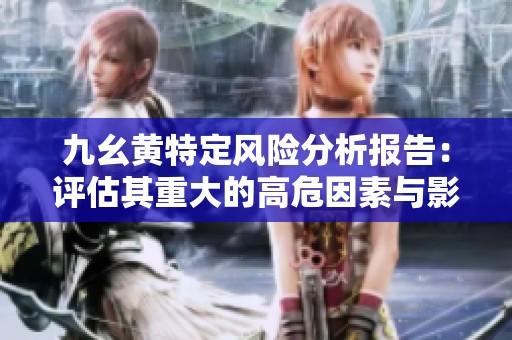 九幺黄特定风险分析报告：评估其重大的高危因素与影响
