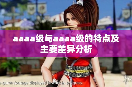 aaaa级与aaaa级的特点及主要差异分析