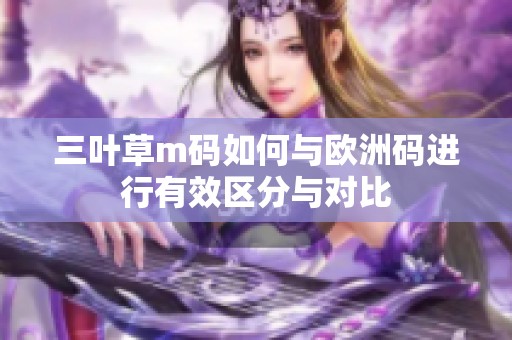 三叶草m码如何与欧洲码进行有效区分与对比