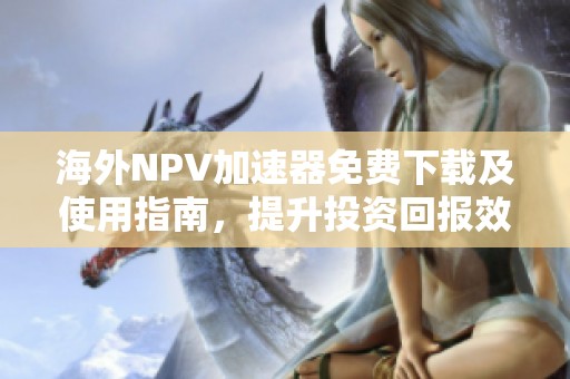 海外NPV加速器免费下载及使用指南，提升投资回报效率