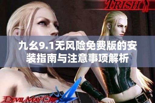九幺9.1无风险免费版的安装指南与注意事项解析