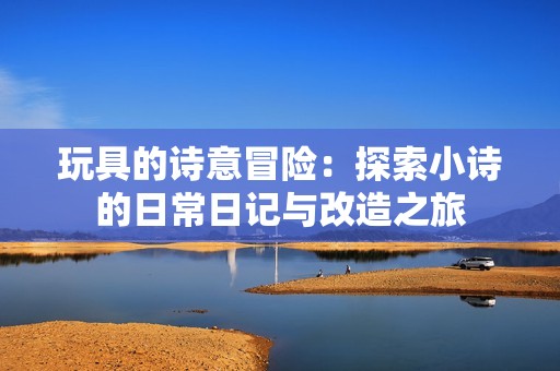 玩具的诗意冒险：探索小诗的日常日记与改造之旅