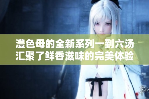 澧色母的全新系列一到六汤汇聚了鲜香滋味的完美体验