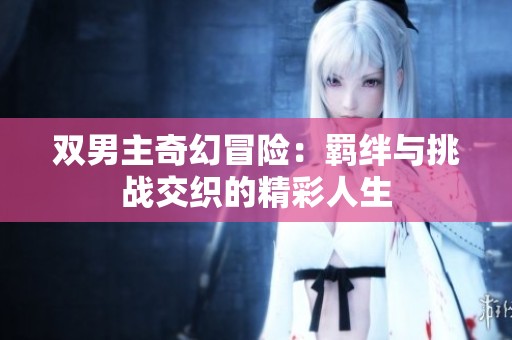 双男主奇幻冒险：羁绊与挑战交织的精彩人生
