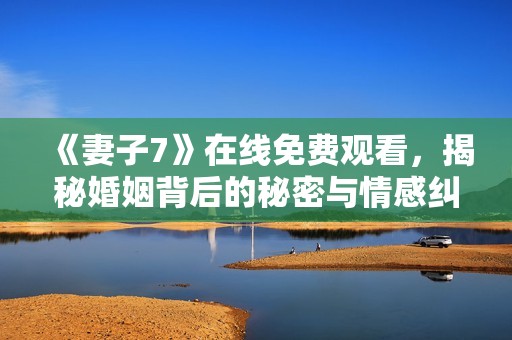 《妻子7》在线免费观看，揭秘婚姻背后的秘密与情感纠葛